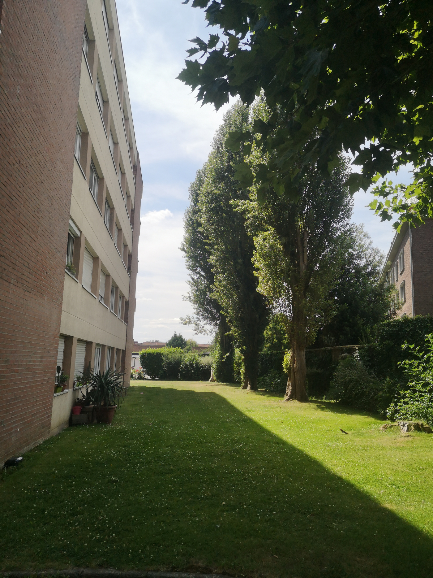 2-photo jardin origine